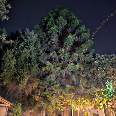 La Araucaria Cabana Con Tinaja San Felipe Exterior foto